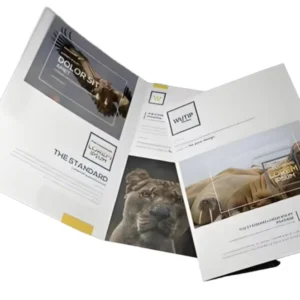 Custom Print Architecture Brochure Film Lamination Finish Offset Flexographic Printing Cardboard Art Paper Coated Paper Perfect