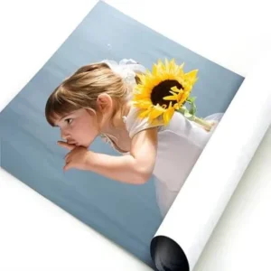 Custom Printed A1 A2 A3 A4 Digital Printing PVC PP Poster