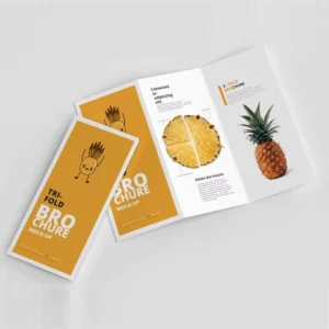 Custom Printed A6 Leaflet Booklet Glossy Cardboard Flyers A4 A5 Brochure Pamphlets Business Advertising Flyer Printing Service