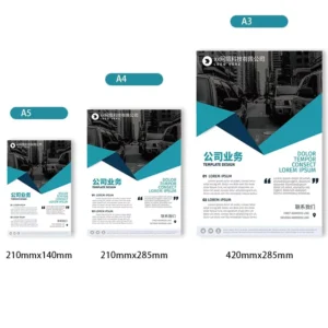 Custom Printed Business A4 A3 Flyers and Brochures Printing Service