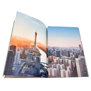Custom Printed Cardboard Art Book Catalog Brochure Magazine Booklet Flyer Pamphlet Soft Cover Full Color Offset