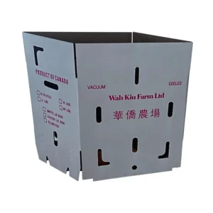 Custom Printed Cardboard Tissue Paper Packaging Box with Logo