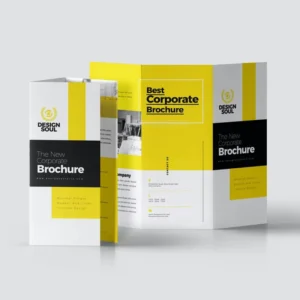 Custom Printed Coated Paper Tri-Fold Brochure with Offset Printing Service