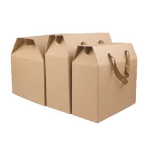 Custom Printed Corrugated Paper Packaging Box
