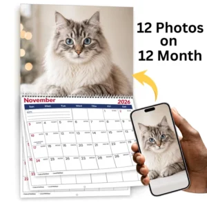 Custom Printed Desktop Calendar, Art Paper, Wire-O Binding And Monthly Planner For Office And Home