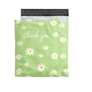 Custom Printed Eco Plastic Shipping Bags, Envelopes and Express Poly Mailer Bags