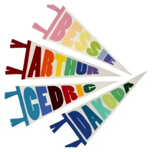 Custom Printed Felt Pennant Flag for College and Sports Teams