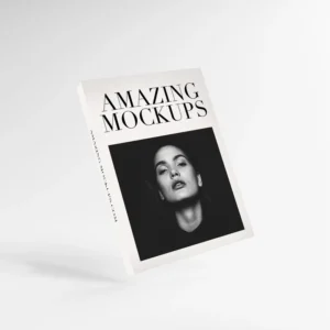 Custom Printed Paper Brochures, Booklets, Flyers, Leaflets, Pamphlets, Magazines, and Books