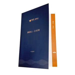 Custom Printed Real Estate Floor Plan Brochures with Gold Foil Printing Factory