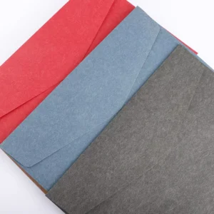 Custom Printed Recycled Paper Envelope with Liner for Gift Cards and Small Files