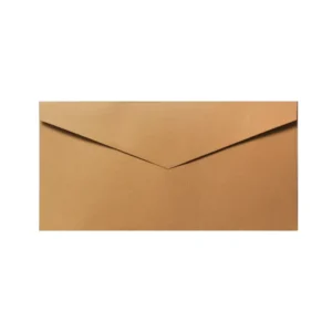 Custom Printed Various Size Kraft Paper Cardboard Envelopes with Logos