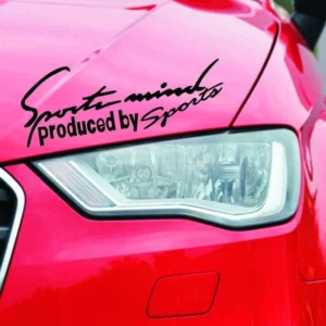 Custom Printed Vinyl Adhesive Car Decoration Sticker