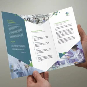 Custom Printing A5 Folding Paper Flyer Leaflet Catalogue Design Offset Printing Film Lamination Shoes Catalogue Dress