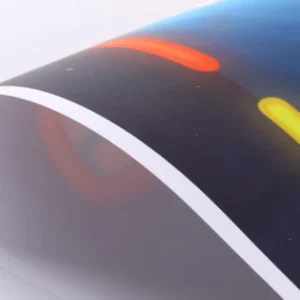 Custom Printing Art Paper Recycled Poster Printing