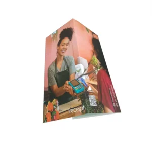 Custom Printing Brochure Booklet Leaflet A4 Trifold Flyer