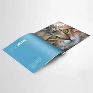 Custom Printing Catalog Brochure Booklet Magazine