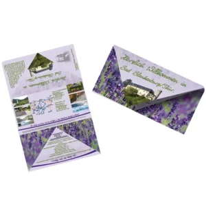 Custom Printing Variable Receiver Company Marketing Direct Mail Flyers