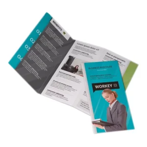 Custom Printing on Coated Paper or Cardboard Flyers, Posters, Booklets, Periodicals, Magazines, Brochures, and Pamphlets