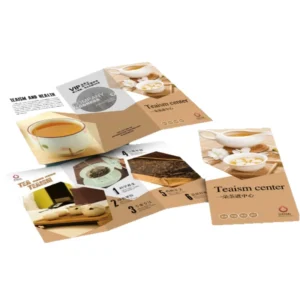 Custom Promotional Flyers Brochures & Catalogs