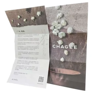 Custom Promotional Flyers Printing Factory Brochures Booklets Offset Printing Art Paper with Your Own Logo