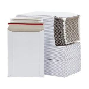Custom Recyclable Degradable Cardboard Envelopes for Documents, Passports, Art Prints, Photos, and Media