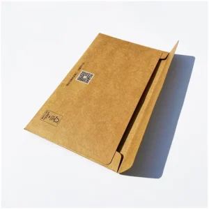 Custom Recyclable Kraft Paper and Cardboard Self-Adhesive Peel-and-Seal Mailer Envelope for E-Commerce Packaging