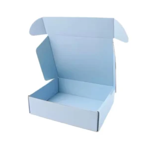 Custom Recyclable Paper Mailing Box for Retail Gift Packaging and Eco-Friendly Shipping