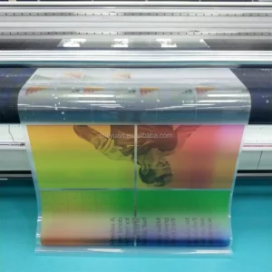 Custom Removable Window Decals for Storefront and Office Glass Branding