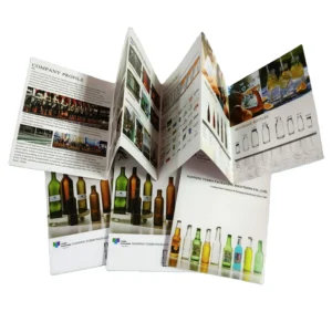 Custom Single-Page Business Flyers, 6-Fold Brochures, Custom Logo, A4/A5/A6, Offset Paper, Film Printing