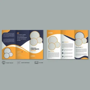 Custom Size Durable Cardboard Flyers Brochures Booklets Instruction Manual Customized Color Rectangle Shape Printed