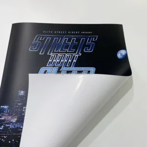 Custom Size Large A0 A1 A2 Anime Poster Printing Full Color Poster Printed Movie Poster