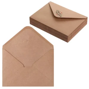 Custom Small 100% Recyclable Biodegradable Brown Kraft Paper Seed Packet Envelopes