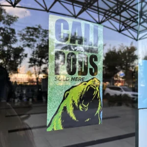 Custom Static Cling Transparent Reverse-Printed Car Window Decal