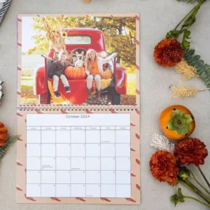 Custom Tear Off Business Calendar New Year Weekly Monthly Planner Daily Large Wall Calendar Printing With Logo