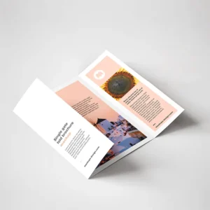 Custom Tri-Fold 4-Page Leaflet Booklet Pamphlet Magazine Catalog Brochure Printing