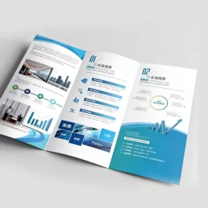 Custom Tri-Folding Booklet Leaflet Flyer Catalog Brochure Printing Service for Business