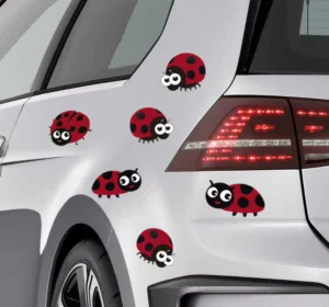 Custom Vinyl Car Body Graphics and Bumper Decal