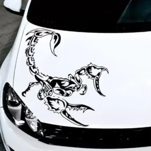 Custom Vinyl Die-Cut Lettering Stickers for Car Windows and Body