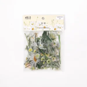Custom Waterproof Transparent Die-Cut Decorative Stickers for Packaging