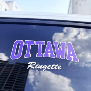Custom Waterproof UV Resist Car Decal Car Lettering Stickers Vinyl Transfer Car Windshield Window Stickers
