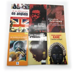 Customizable Full Color Softcover French Novel Books, China Book Factory OEM