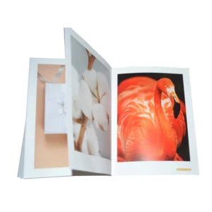 Customized A3 A4 Full-Color Softcover Textbook Printing Service with Paperboard