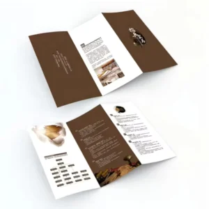 Customized A4 Luxury Trifold Brochure and Catalogue CMYK Printing on Duplex Board Paper for Graduation, Business, and Medical Use