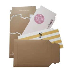 Customized Biodegradable Kraft Paper Express Delivery Mail Envelopes