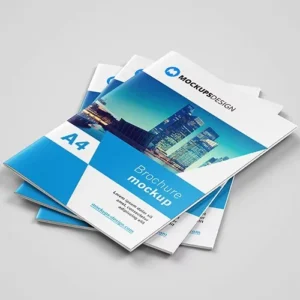 Customized Brochure Catalog Booklet Magazine Printing