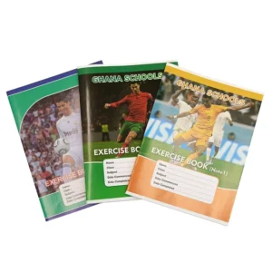 Customized Business Brochures Flyers Booklets & Posters Offset & Kraft Paper Custom Logo Printing