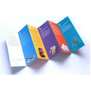 Customized Business Flyer 200g Coated Paper Offset Printed Film Laminated Two-Fold Three-Fold Picture Introduction Handbook