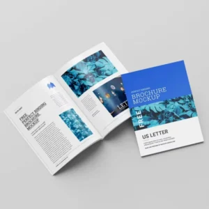 Custom Color-Printed Softcover Booklet, Catalog and Brochure with Offset Paper, Cardboard and CMYK Printing