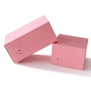 Customized Corrugated Kraft Paper Mailer Box for Cosmetics and Makeup