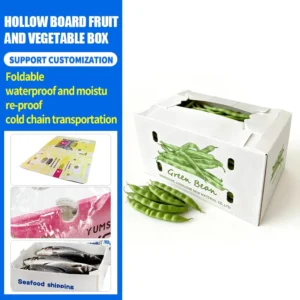 Customized Corrugated Plastic Polypropylene Paper Box and Polypropylene Container for Food and Vegetable Packaging